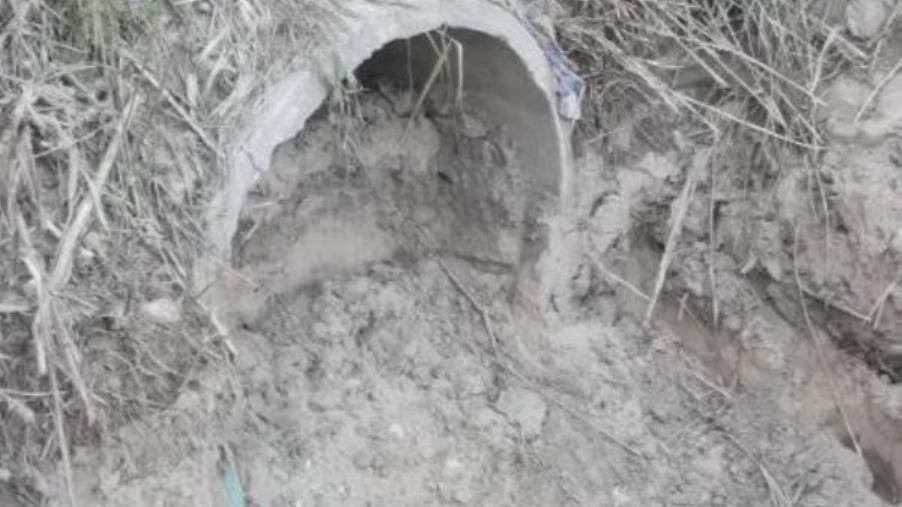 images Riccio: "Canali raccolta acque meteoriche occlusi, che dice il prof Fiorita?”