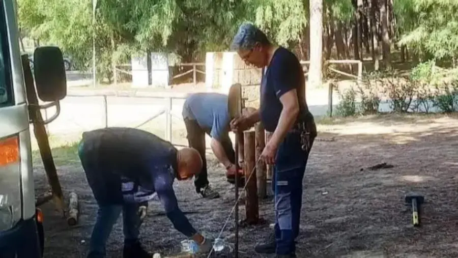 images Il Comune avvia i lavori nella pineta di Giovino, Sergi e Serò: “Tempi troppo lunghi per l’intesa con Calabria Verde"