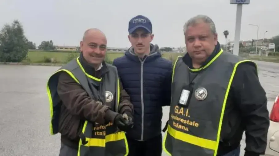 La 'staffetta' fra GAI e WWF Crotone per salvare un animale protetto: sarà curato al Cras images La 'staffetta' fra GAI e WWF Crotone per salvare un animale protetto: sarà curato al Cras