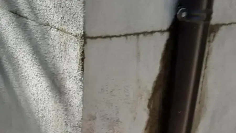 images Cimitero nel quartiere Lido nel degrado, Mirarchi: "Condizioni incivili"