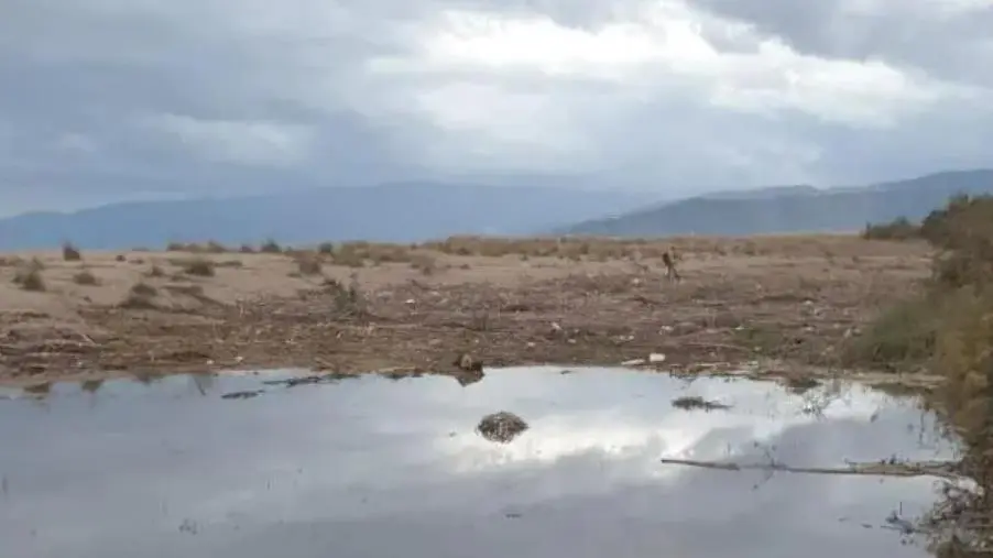 images Pista ciclabile vicino al Castace, la Lega di Catanzaro: "Progetto su area soggetta ad allagamenti"