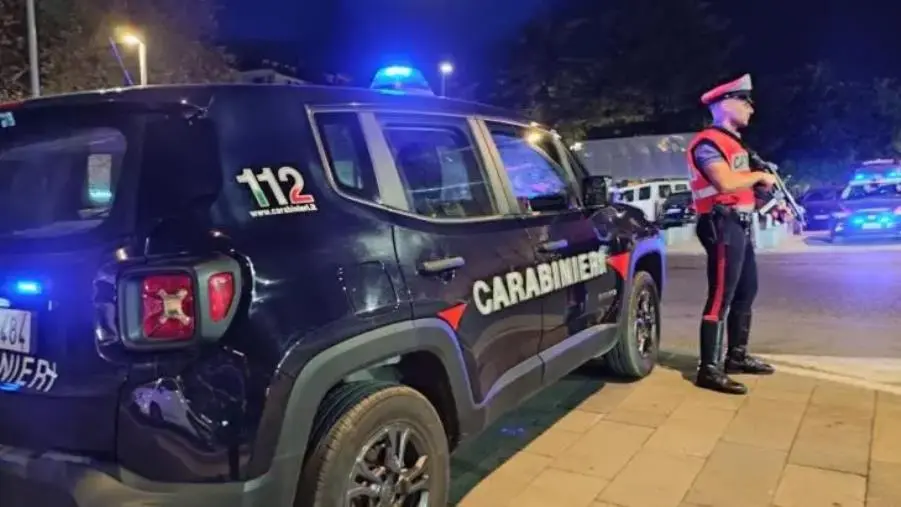 images Lamezia Terme, giro di vite dei carabinieri nel fine settimana: il bilancio 
