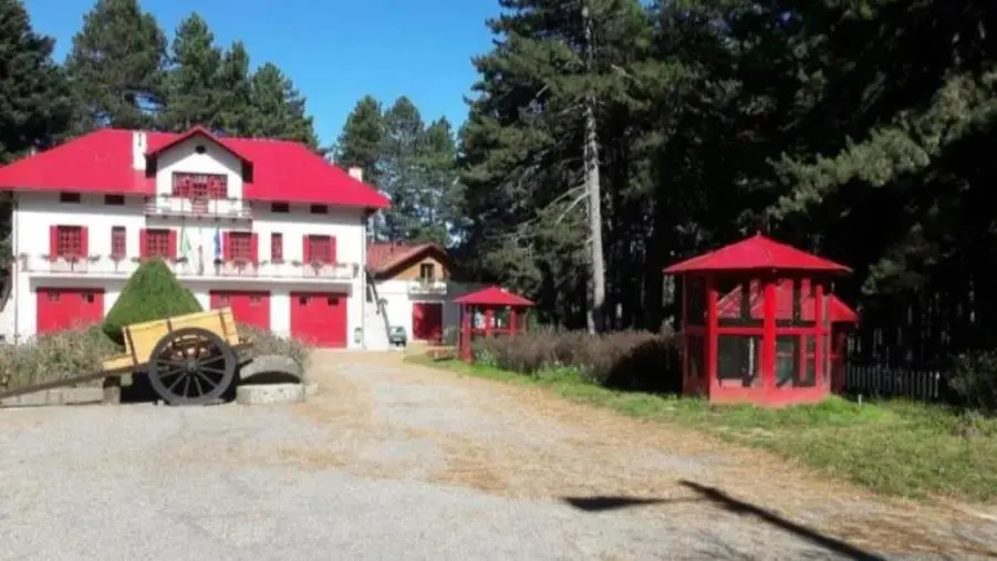 Tutto pronto per “La Notte Bianca della Biodiversità”: dall'11 al 13 agosto in località Monaco-Villaggio Mancuso images Tutto pronto per “La Notte Bianca della Biodiversità”: dall'11 al 13 agosto in località Monaco-Villaggio Mancuso