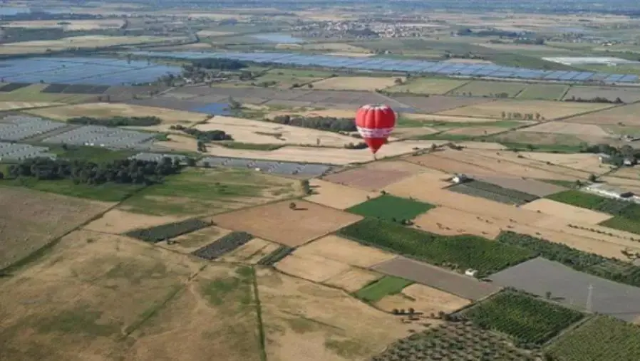 images L’azienda agricola della Piana di Sibari “la Terzeria” scelta agli Stati Generali per la salute del suolo