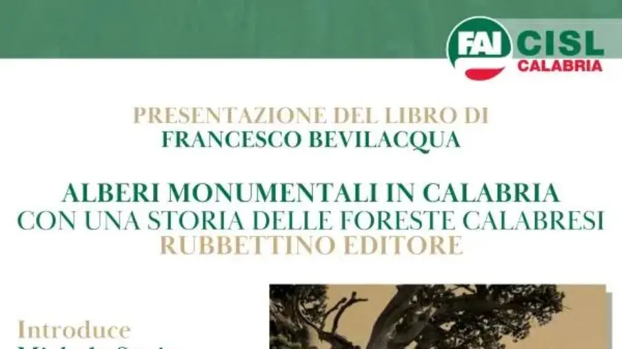 La Fai Cisl Calabria presenta “Alberi monumentali in Calabria” di Francesco Bevilacqua images La Fai Cisl Calabria presenta “Alberi monumentali in Calabria” di Francesco Bevilacqua