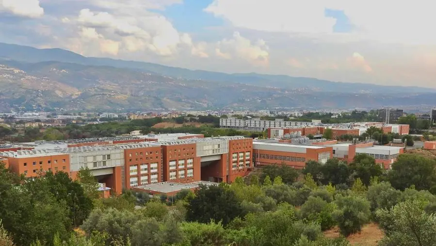 Borse di studio all'Università della Calabria, Forum Unical: "Finora solo promesse"