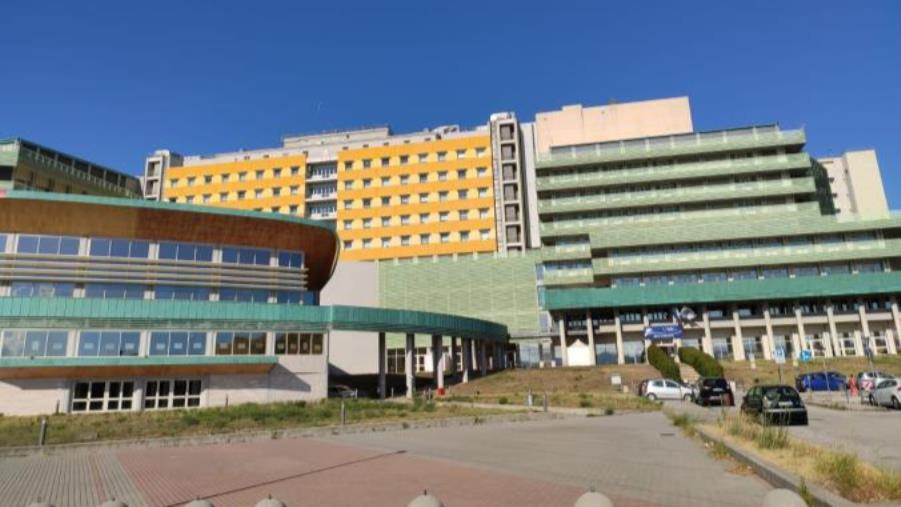 images Rientra la rivolta della Scuola di Medicina sull'atto aziendale della Dulbecco, accettate solo le dimissioni di Gnasso