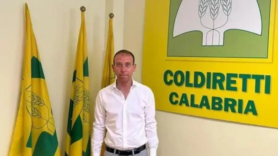 Capodanno, numeri in crescita negli agriturismo: il bilancio di Abbruzzese (Terranostra Calabria) images Capodanno, numeri in crescita negli agriturismo: il bilancio di Abbruzzese (Terranostra Calabria)