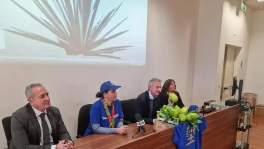 images Foro mundial de la gastronomia mexicana, presentato in Cittadella l'evento che si terrà a Morelia dal 24 al 26 novembre