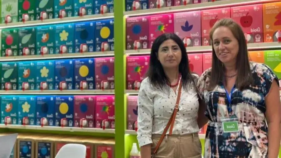 images Montepaone, il progetto culturale Naturium promuove la rivoluzione verde