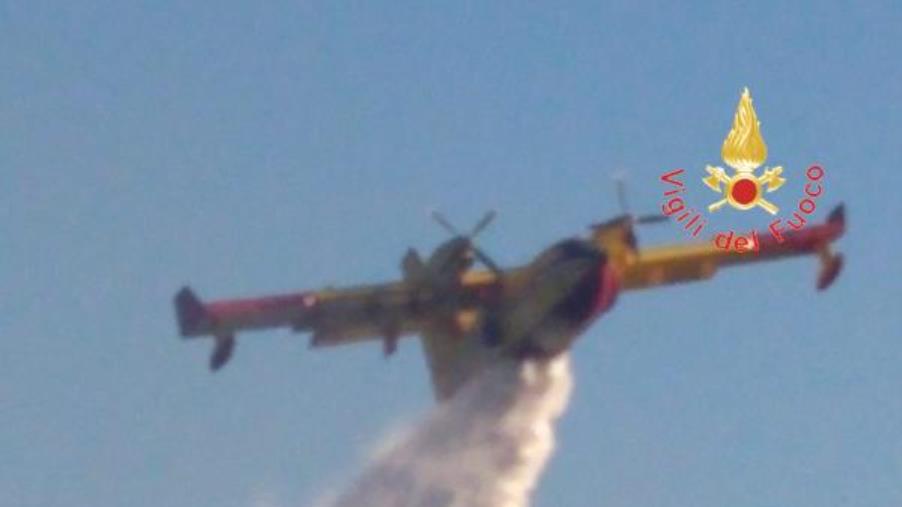 Incendi, in Aspromonte devastati 15 ettari di conifere images Incendi, in Aspromonte devastati 15 ettari di conifere