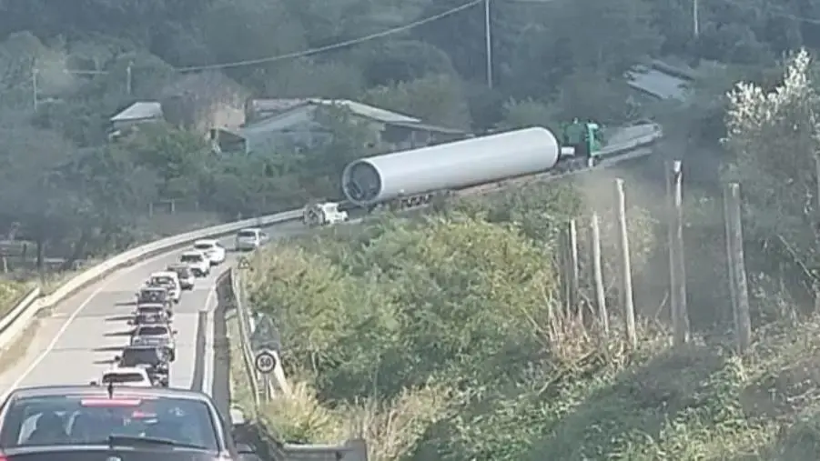 Trasporto di pale eoliche, traffico rallentato sulla strada di Maida images Trasporto di pale eoliche, traffico rallentato sulla strada di Maida