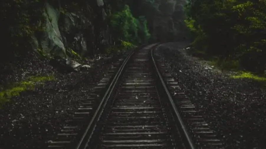 images Stipendi spesso in ritardo, SUL Trasporti: "Che succede in Ferrovie della Calabria?"