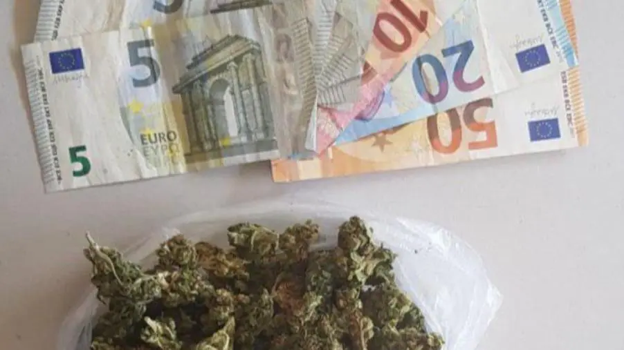 Fiumi di droga a Catanzaro: il gup manda a giudizio 14 imputati e rinvia per riti abbreviati e patteggiamenti