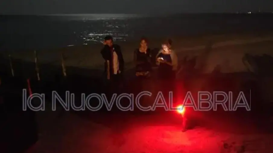 Catanzaro, il fascino della schiusa di tartarughe sulla spiaggia del quartiere marinaro images Catanzaro, il fascino della schiusa di tartarughe sulla spiaggia del quartiere marinaro