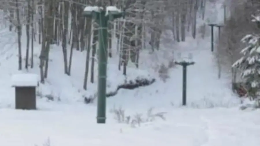 Taverna, al via la fase progettuale per il recupero della stazione sciistica di Ciricilla images Taverna, al via la fase progettuale per il recupero della stazione sciistica di Ciricilla