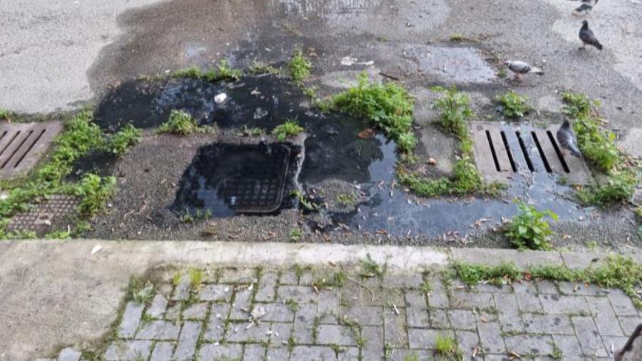 Fogna in via Teano, l'Aterp a Riccio: "La competenza è della gestione condominiale" images Fogna in via Teano, l'Aterp a Riccio: "La competenza è della gestione condominiale"
