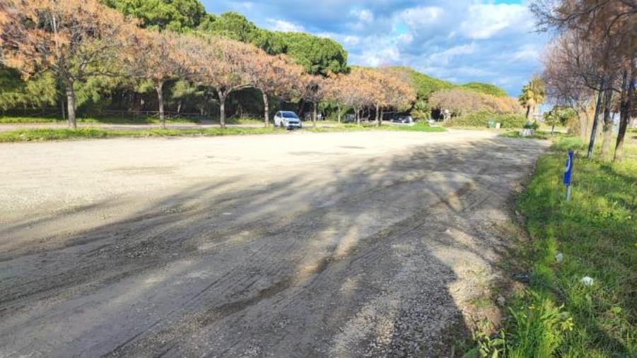 Catanzaro, sopralluogo a Giovino per verificare viabilità e sicurezza images Catanzaro, sopralluogo a Giovino per verificare viabilità e sicurezza