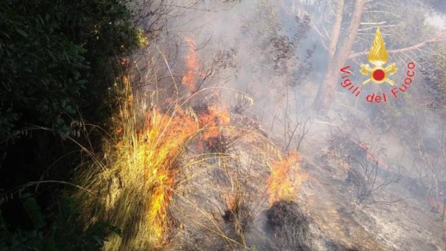 images Incendi, vasta area di macchia mediterranea distrutta nel Reggino