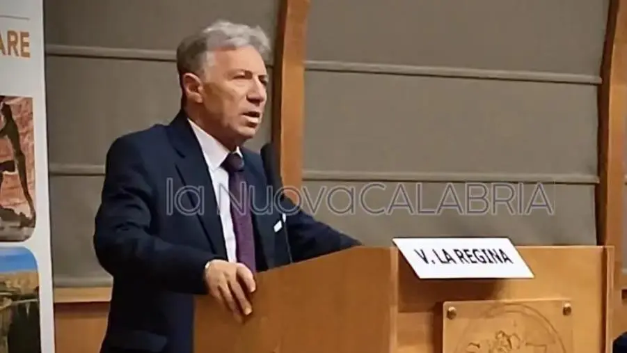 Vincenzo La Regina rinuncia alla nomina di Direttore generale dell'Irccs in Basilicata images Vincenzo La Regina rinuncia alla nomina di Direttore generale dell'Irccs in Basilicata