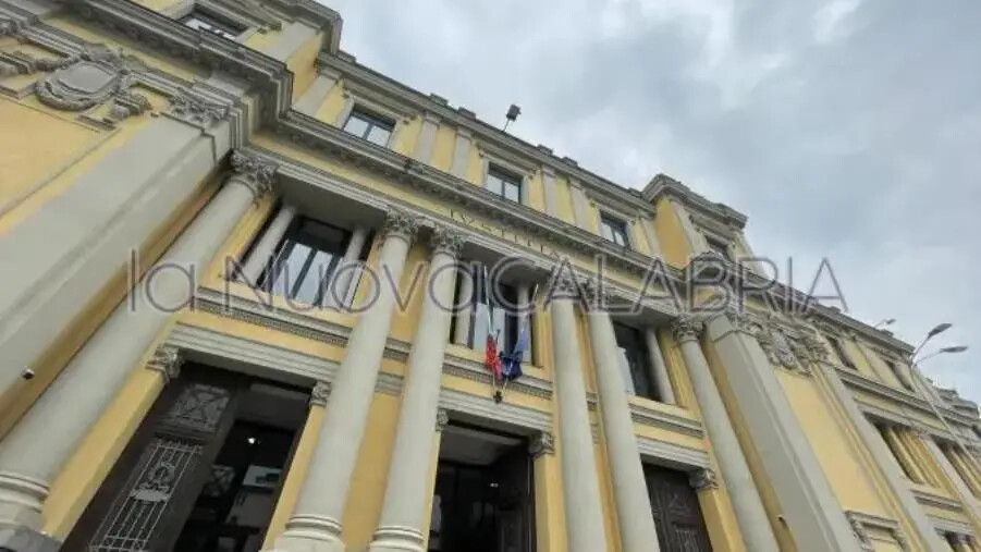 Catanzaro, ammanchi sul conto degli Avvocati: denunciata la tesoriera images Catanzaro, ammanchi sul conto degli Avvocati: denunciata la tesoriera