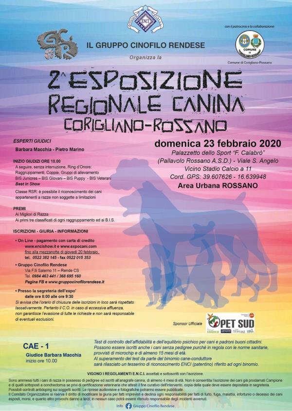 Cinofilia, domenica 23 febbraio a Corigliano-Rossano attesi i migliori cani di razza e con pedigree da tutto il Sud Italia images Cinofilia, domenica 23 febbraio a Corigliano-Rossano attesi i migliori cani di razza e con pedigree da tutto il Sud Italia