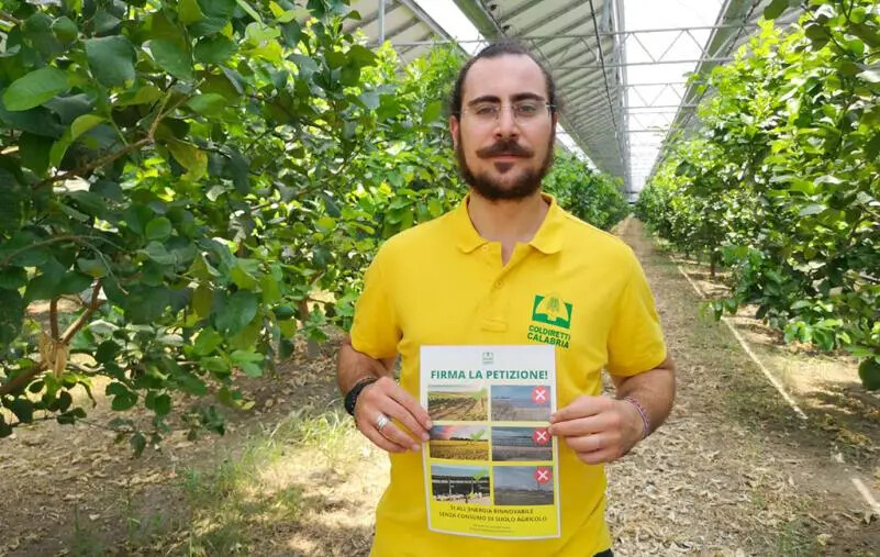 Coldiretti contro il fotovoltaico a terra: "No all'energia che sostituisce il cibo" images Coldiretti contro il fotovoltaico a terra: "No all'energia che sostituisce il cibo"
