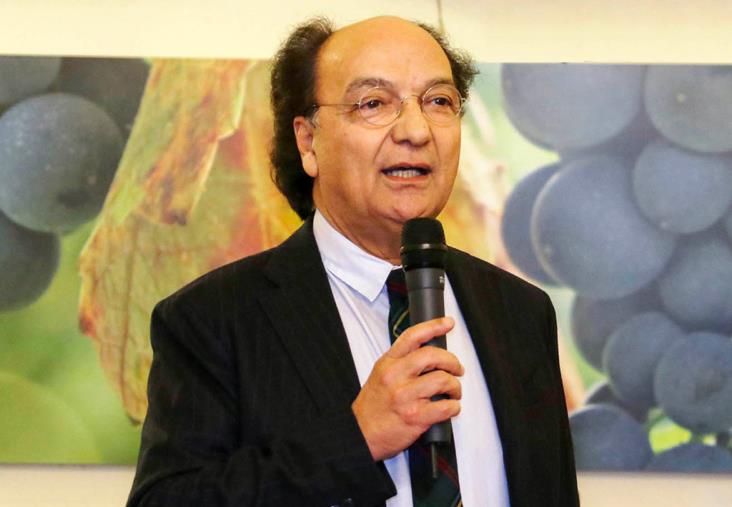 Aeroporto, Guarascio: "La Calabria non ha bisogno di rigurgiti municipalistici" images Aeroporto, Guarascio: "La Calabria non ha bisogno di rigurgiti municipalistici"