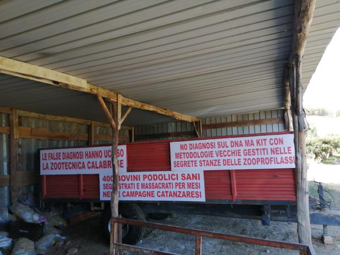 Domani alla Cittadella regionale scendono in piazza gli allevatori images Domani alla Cittadella regionale scendono in piazza gli allevatori