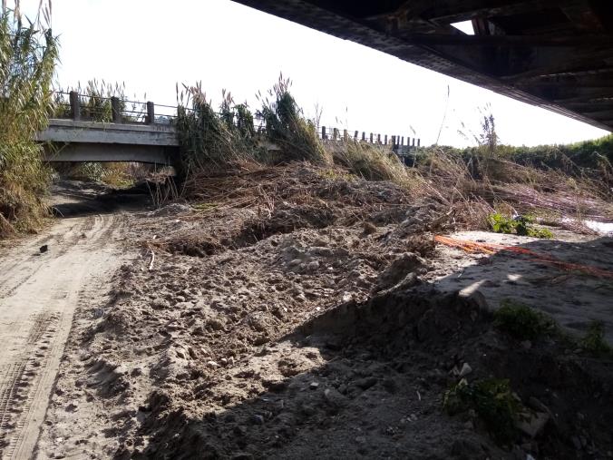Ponte sulla Fiumarella, Riccio: “Via Sardegna, prof Fiorita a quando l’intervento di messa in sicurezza?” images Ponte sulla Fiumarella, Riccio: “Via Sardegna, prof Fiorita a quando l’intervento di messa in sicurezza?”