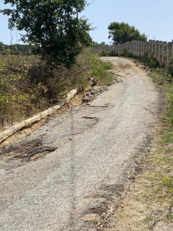 La Provinciale 27 ha perso la strada: la denuncia di una proprietaria terriera images La Provinciale 27 ha perso la strada: la denuncia di una proprietaria terriera