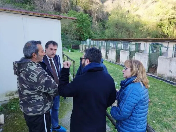 Visita di Fiorita e Bosco al canile di San Floro, Catanzaro Azzurra: "Sgarbo istituzionale e doppiopesismo" images Visita di Fiorita e Bosco al canile di San Floro, Catanzaro Azzurra: "Sgarbo istituzionale e doppiopesismo"
