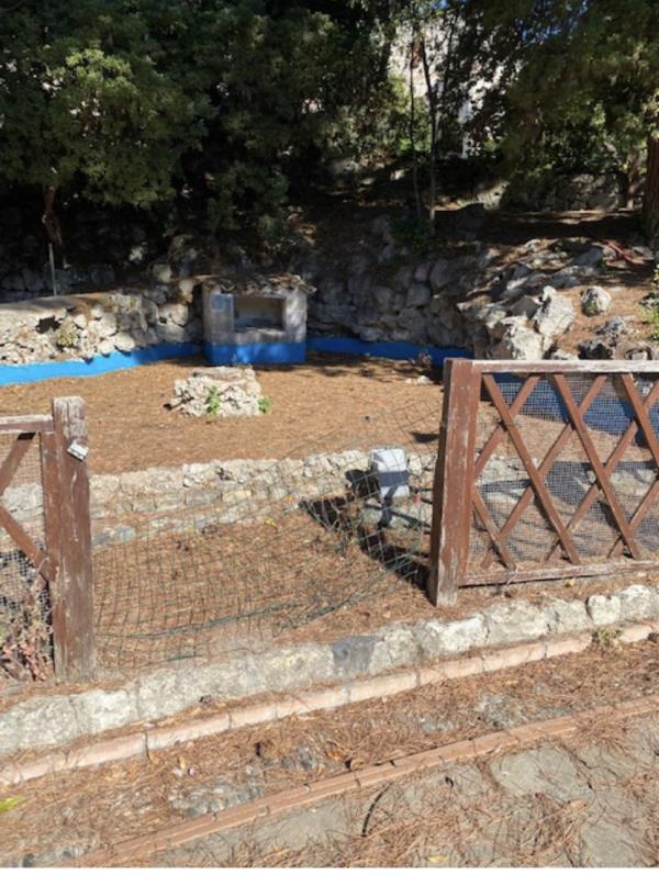 images Catanzaro. Villa Margherita nel degrado: la denuncia di Stefano Veraldi