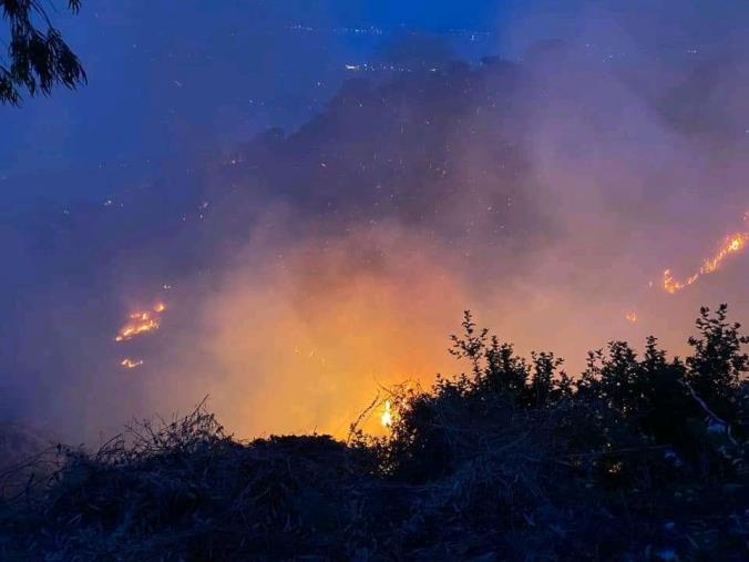 images La riflessione. Gianpiero Taverniti: "L’ignoranza devastante infiamma, impoverendoci"