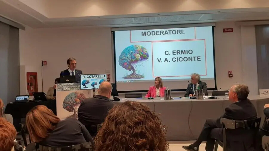 images Cervello e processi infiammatori e degenerativi: tavola rotonda di Neurologia a Catanzaro