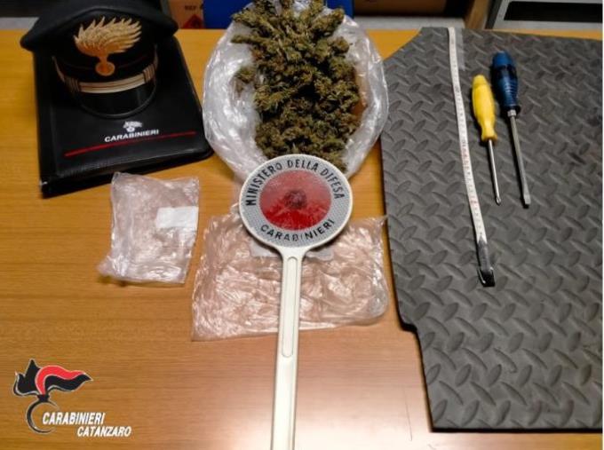 images Droga in un vaso di fiori e nascosta nell'auto: arrestati due giovani nel Soveratese  