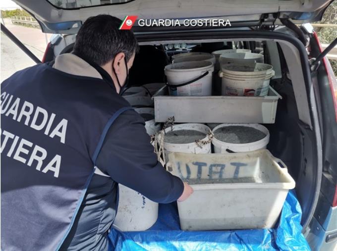 images Sequestrata mezza tonnellata di prodotto ittico nella Sibaritide