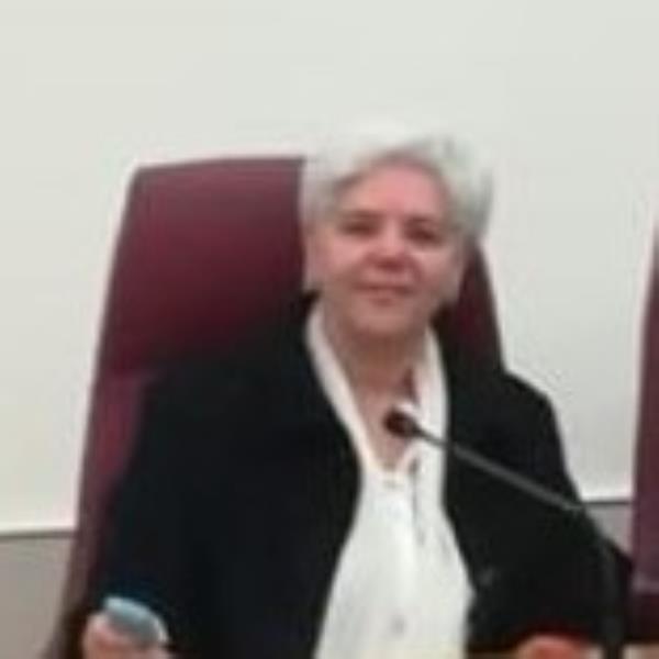 images Esserci sempre, anche a distanza. La didattica in remoto all'IC Catanzaro nord Est Manzoni 