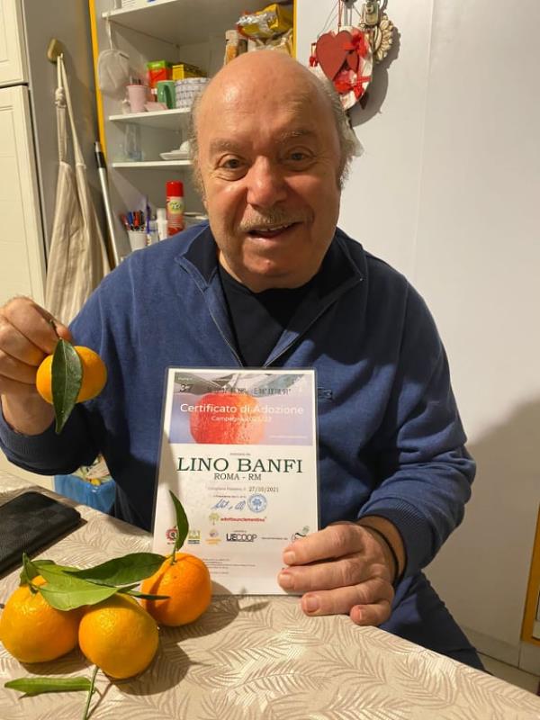 Anche Lino Banfi adotta le clementine di Corigliano Rossano: "Prodotto che merita di essere valorizzato" images Anche Lino Banfi adotta le clementine di Corigliano Rossano: "Prodotto che merita di essere valorizzato"