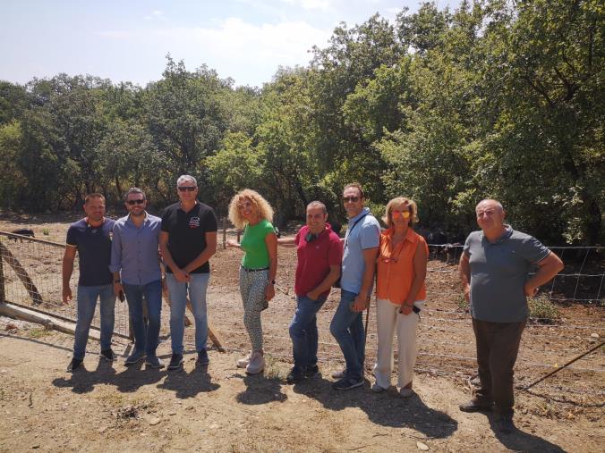Prosegue il percorso del CopAgri a sostegno della Cooperativa del Maiale Nero d’Aspromonte e delle produzioni tipiche e certificate calabresi images Prosegue il percorso del CopAgri a sostegno della Cooperativa del Maiale Nero d’Aspromonte e delle produzioni tipiche e certificate calabresi
