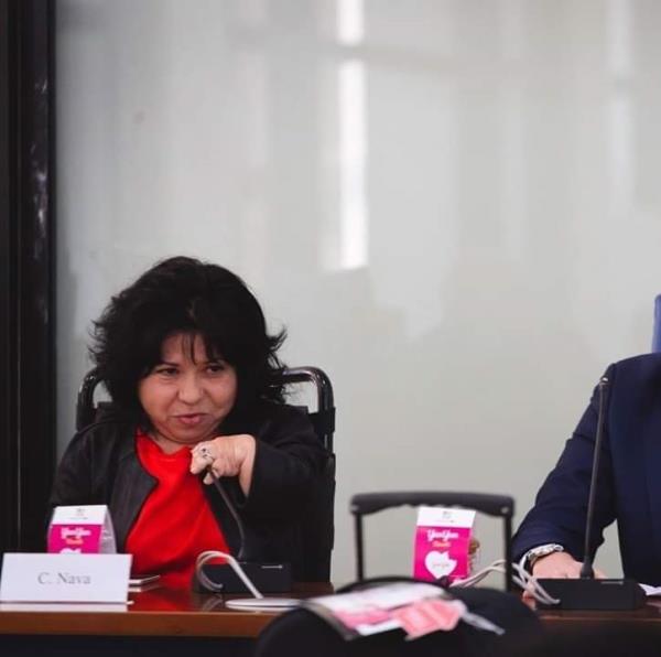 Imprenditoria femminile. Nava (CRPO) esprime "apprezzamento per gli interventi contenuti nella Legge di bilancio 2021" images Imprenditoria femminile. Nava (CRPO) esprime "apprezzamento per gli interventi contenuti nella Legge di bilancio 2021"