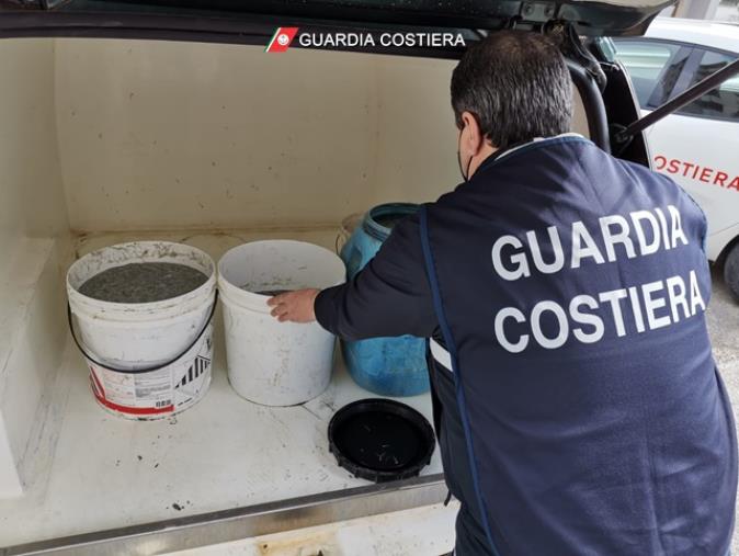 images Sequestrati dalla Guardia Costiera 114 kg di novellame sarda nella Sibaritide 