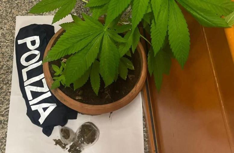 images Vibo, controlli serrati alla movida: sequestri di droga e alcoltest a tappeto