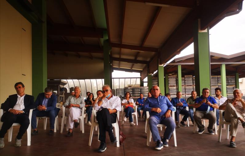 Copagri Calabria, incontro fra i presidente delle organizzazioni olivicole calabresi e l’assessore Gianluca Gallo images Copagri Calabria, incontro fra i presidente delle organizzazioni olivicole calabresi e l’assessore Gianluca Gallo