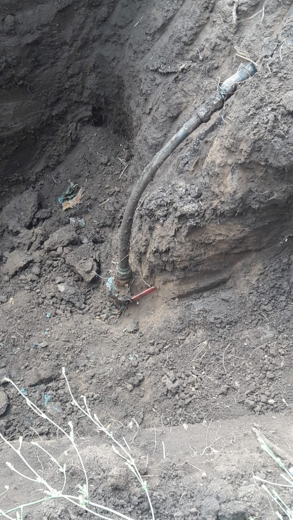 images I rifiuti di Reggio Calabria? Vanno (di nuovo) a Catanzaro