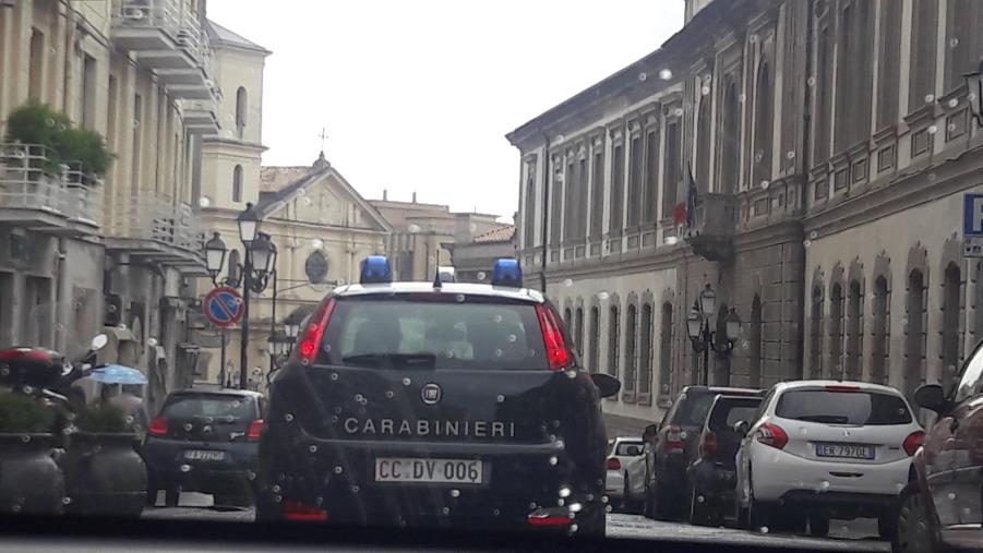 images Sul trono del bodybuilding Giuffrida, Musacchio, Scaramuzzino e Cipolla