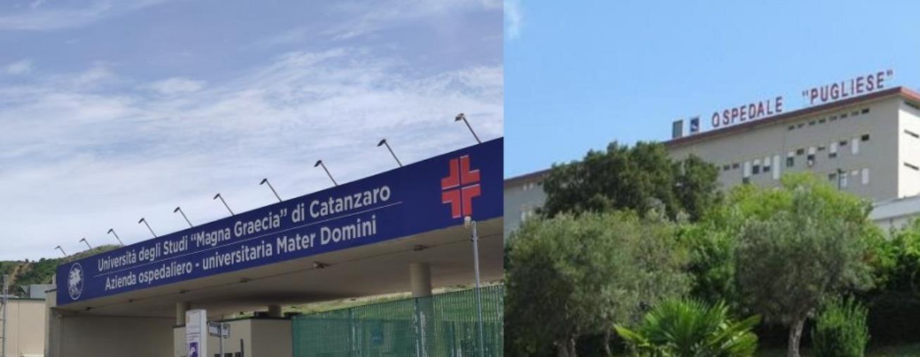 Finanziamenti nuovo ospedale, Corsi: "Svolta storica per la sanità catanzarese, adesso collaborazione" images Finanziamenti nuovo ospedale, Corsi: "Svolta storica per la sanità catanzarese, adesso collaborazione"