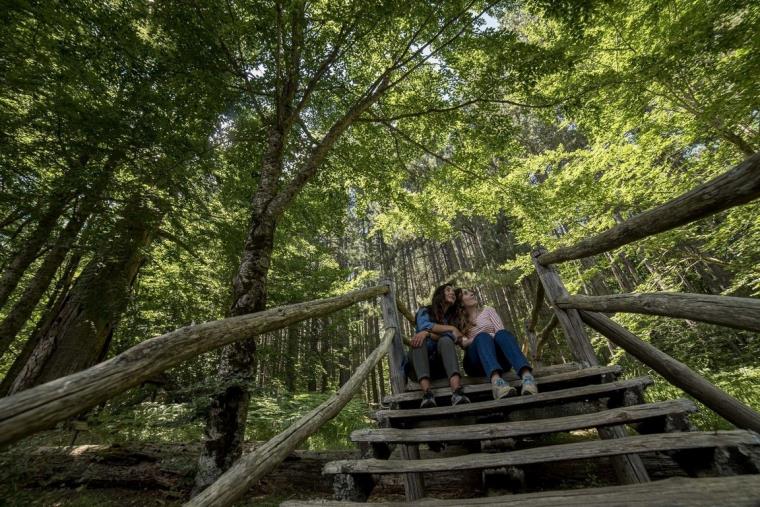 images Sere Fai d'Estate, nella riserva dei "Giganti della Sila" appuntamenti per tutta la stagione