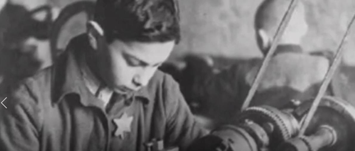 images Giornata della memoria. La riflessione di Terri Boemi 