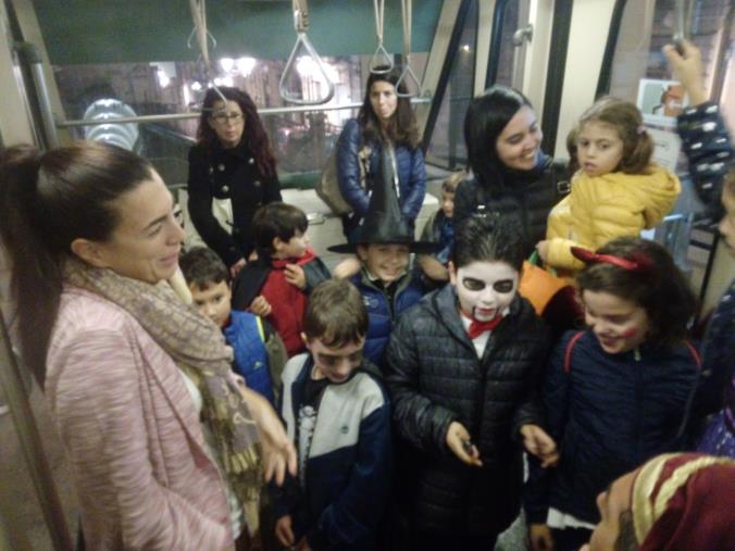 images La Camera di commercio di Vibo Valentia stanzia i fondi per i sistemi di sicurezza e le reti "anti-cinghiali"